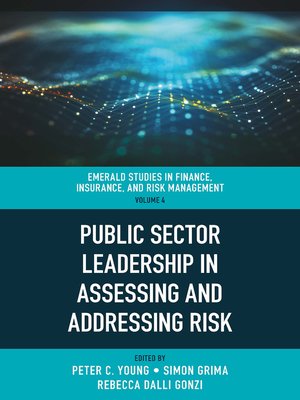 cover image of Public Sector Leadership in Assessing and Addressing Risk